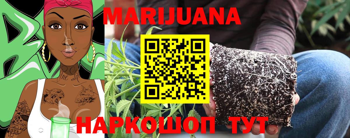 Бошки марихуана Amnesia Назарово